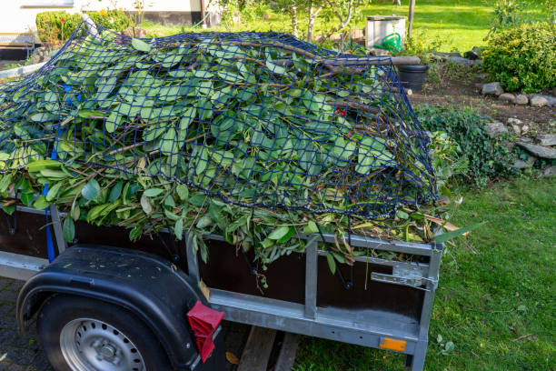 Shed Removal in Wescosville, PA